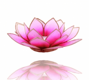 Lotus Atmospheric Light Pink-Pink Gold Edge