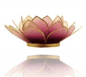 Lotus Atmospheric Light Violet Gold Edge