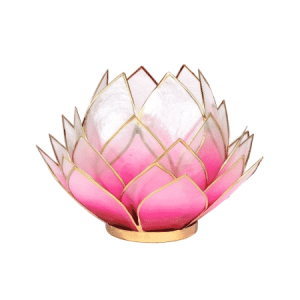 Lotus Atmospheric Light Pink-Pink Gold Edge Large