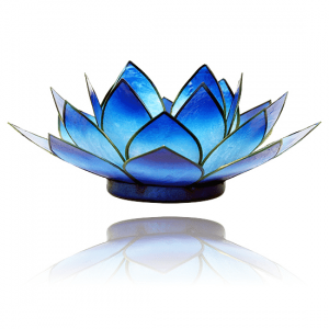 Lotus Atmospheric Light Blue Two-colour