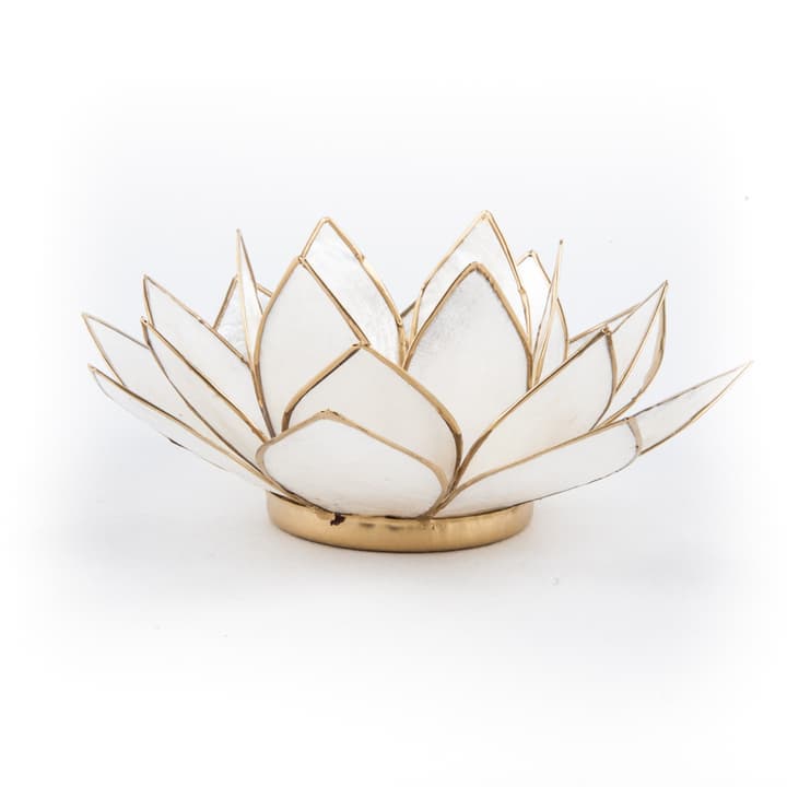 Lotus Atmospheric Light Mother of Pearl Goufrand