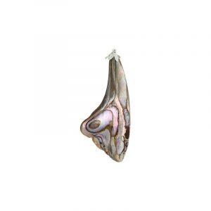 Gemstone Pendant Abalone Shells