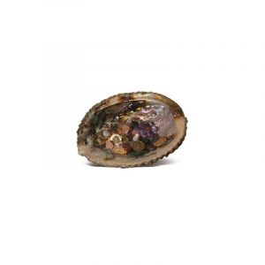 Wealth and Good Luck - Abalone Shell with Tumbled Stones and Lucky Coins