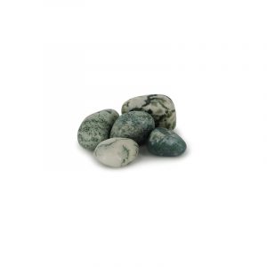 Tumbled Stones Tree Agate (20-40 mm) - 100 grams