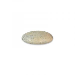 Pocketstone Opal Dendrite