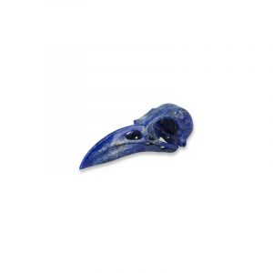 Ravens Skull Lapis Lazuli