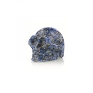 Gemstone Skull Sodalite (Small)