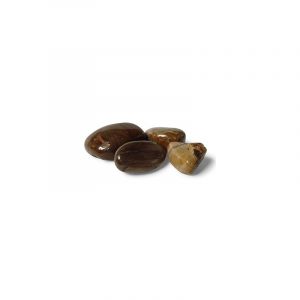 Tumbled Stones Petrified Wood (20-40 mm) - 50 grams