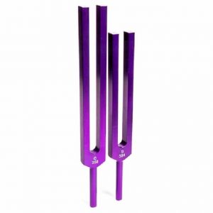 Tuning Forks C and G for the Whole Body Purple