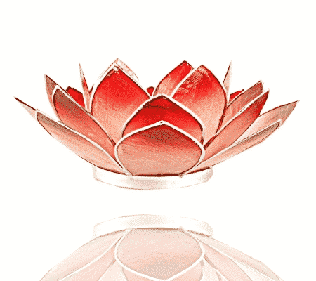 Lotus Atmospheric Light Pink-Red Silver Edge