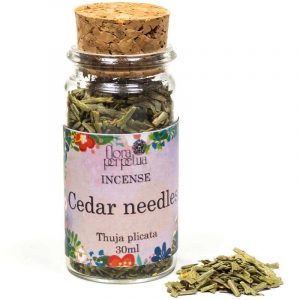 White spice Cedar needles (USA)