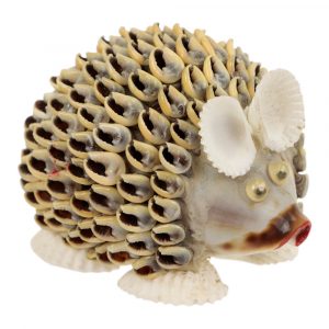 Hedgehog Shells Cream