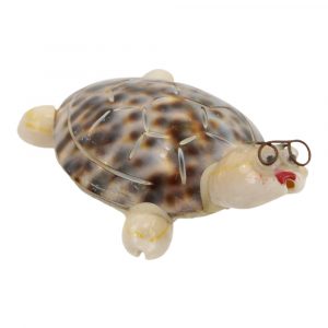 Shell Magnet Turtle  (7 x 5 cm)