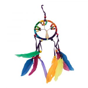 Dreamcatcher Tree of Life Chakra Colored Feathers
