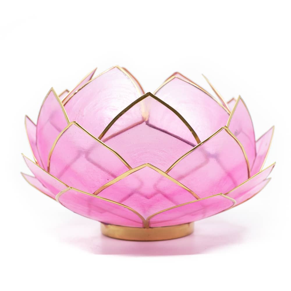 Lotus Mood Light Pink Gold Rim - Large