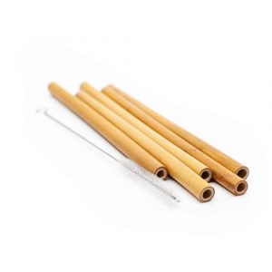 Sustainable Bamboo Straws (Set of 5)