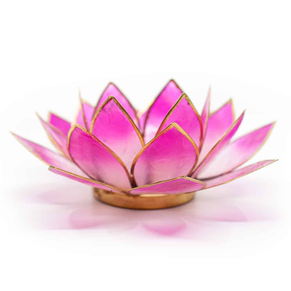 Lotus Mood Light 2-Colour White/Pink Gold Rim