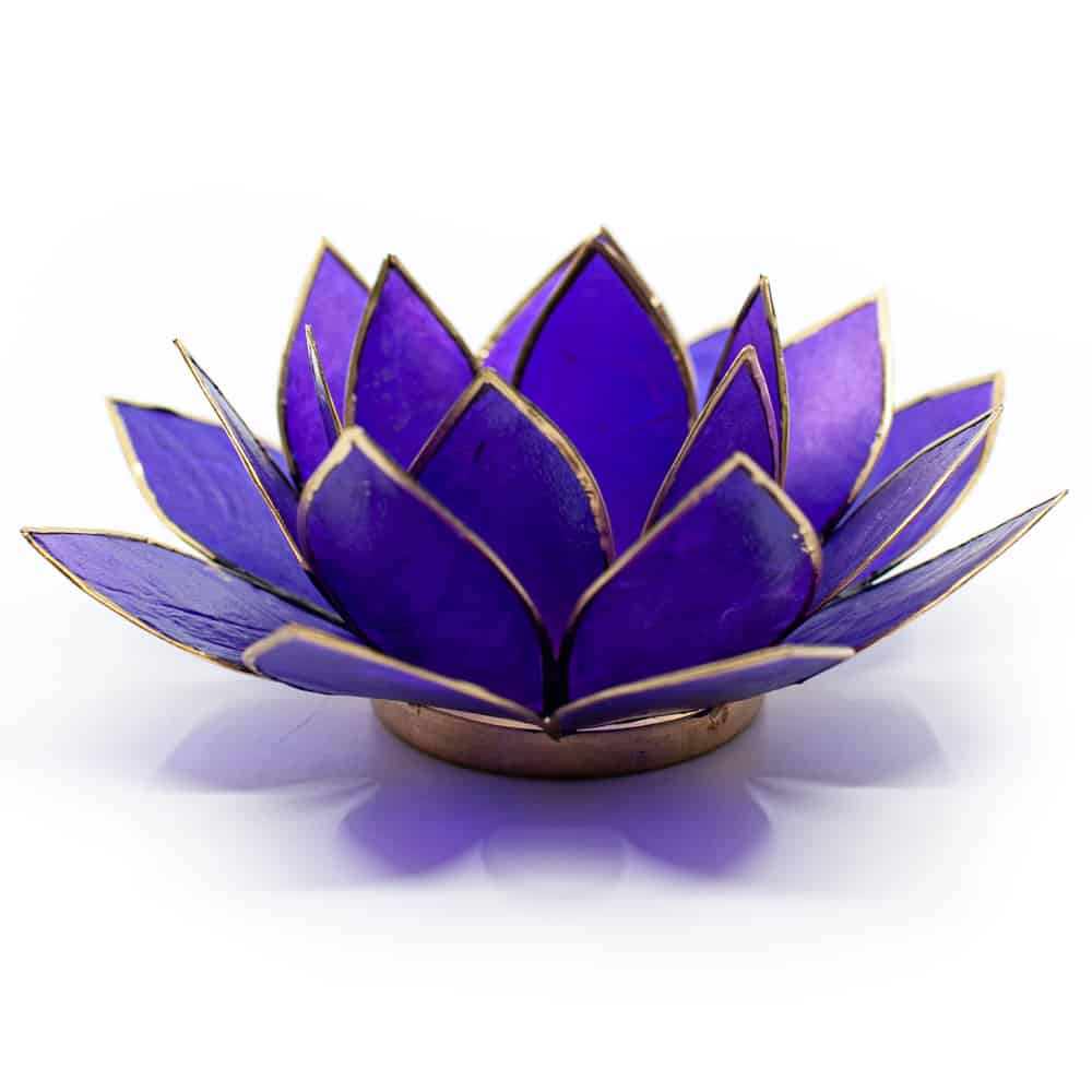 Lotus Mood Light Violet 7th Chakra Gold Rim