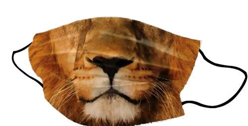 Yogi Mask Lion