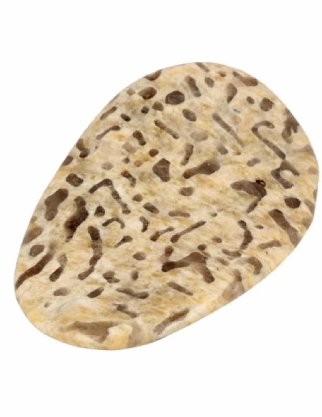 Zebradorite Gemstone Pringle