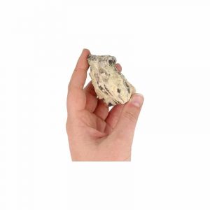 Rough Zebradorite Gemstone 5-7 cm (80 - 120 grams)