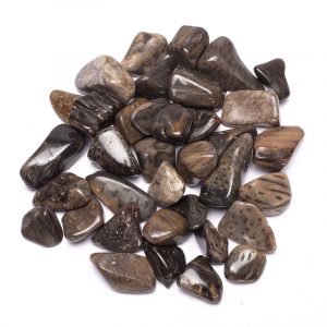 Palmwood Jasper Tumbled Stones AA Quality - ±250g - ±2-3 cm