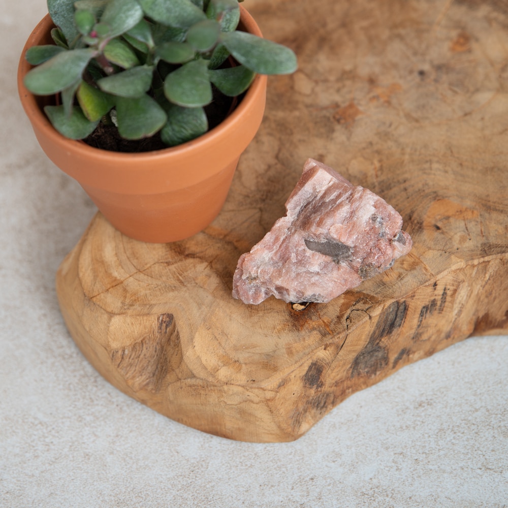 raw gemstone on wood with succulant