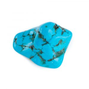 Palm Stone Turquoise (20 - 40 mm)