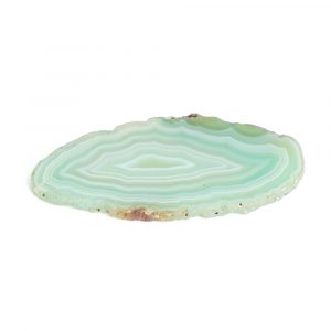 Green Agate Slice Small (30 - 50 mm)