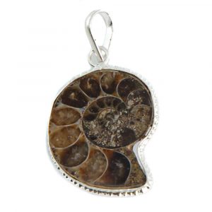 Gemstone Pendant Ammonite - 20-25 mm