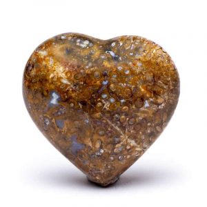 Heart Worry Stone Stromatolite - 5 cm