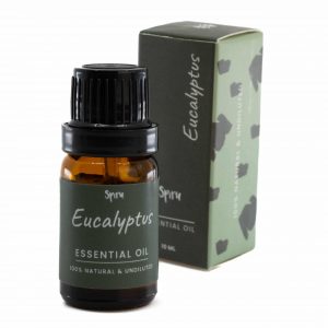 Essential Oil Eucalyptus - 10 ml