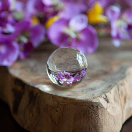 Crystal Ball Photography: Get Creative With Your Camera!