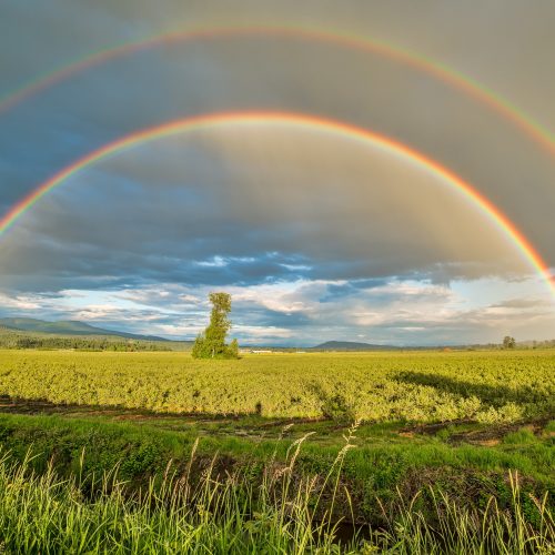 Spiritual Meaning Rainbow