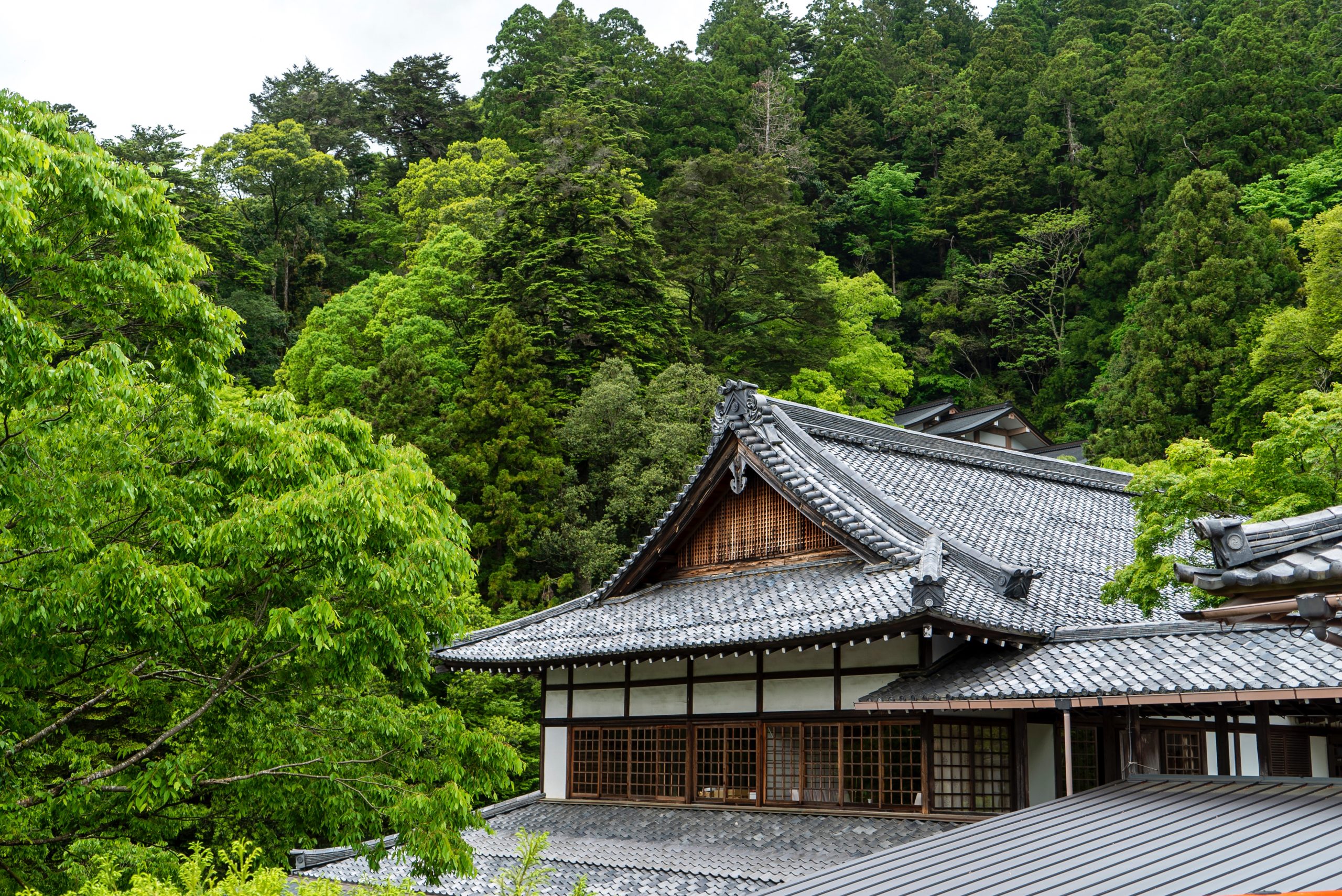 mount kurama temple japan 