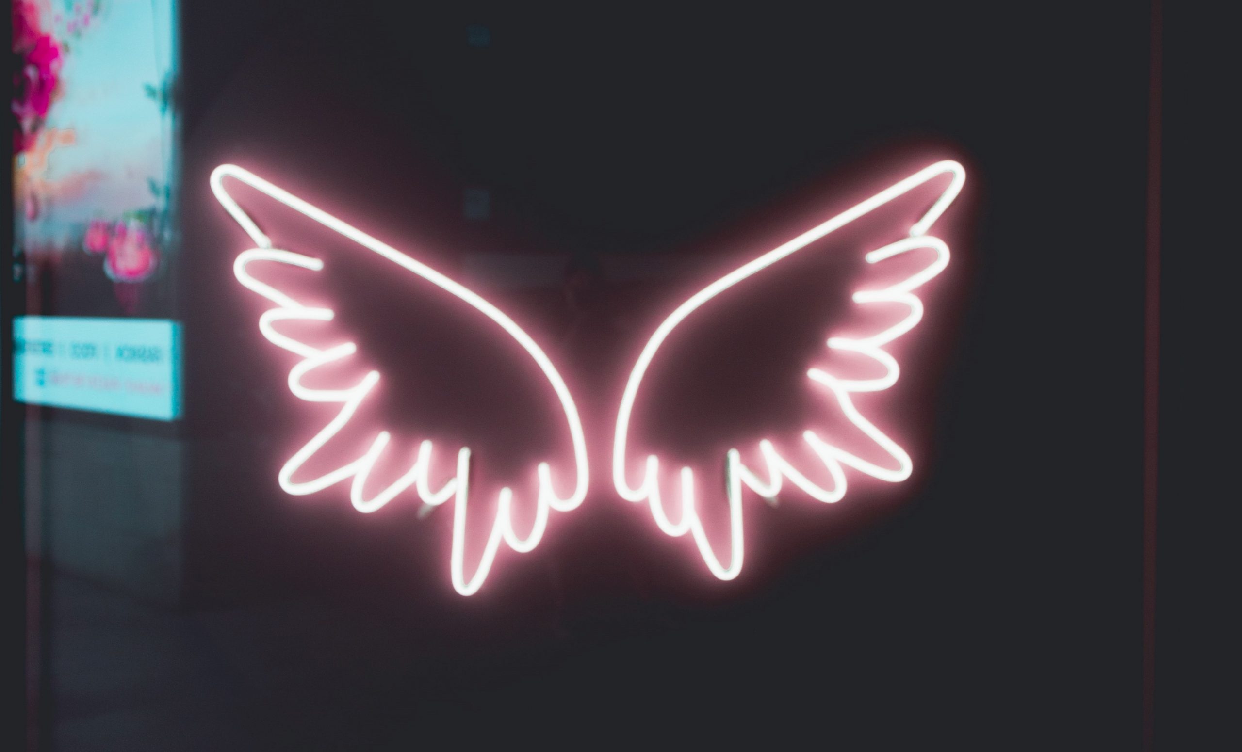 neon sign angel wings