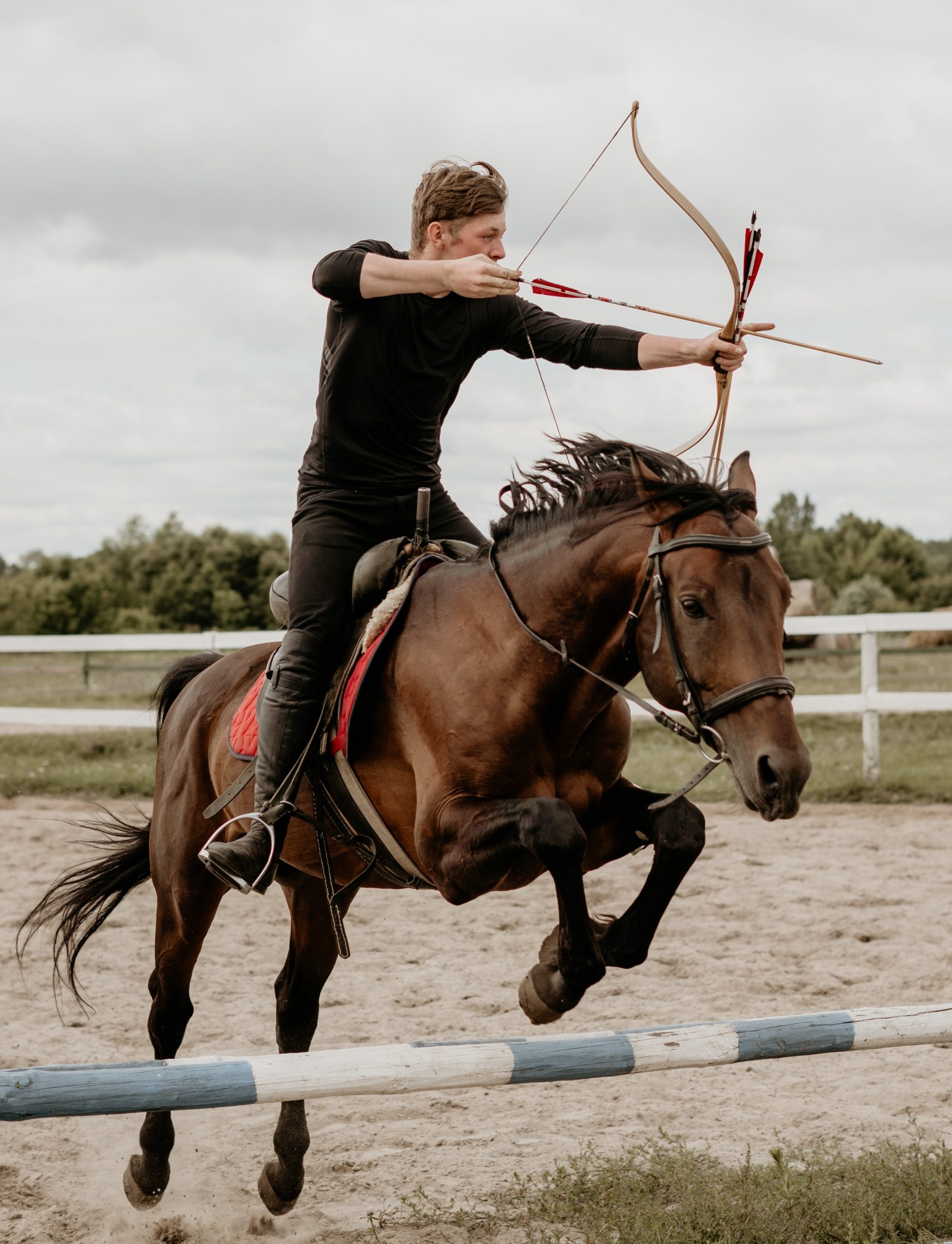 archer on a brown horse jumping