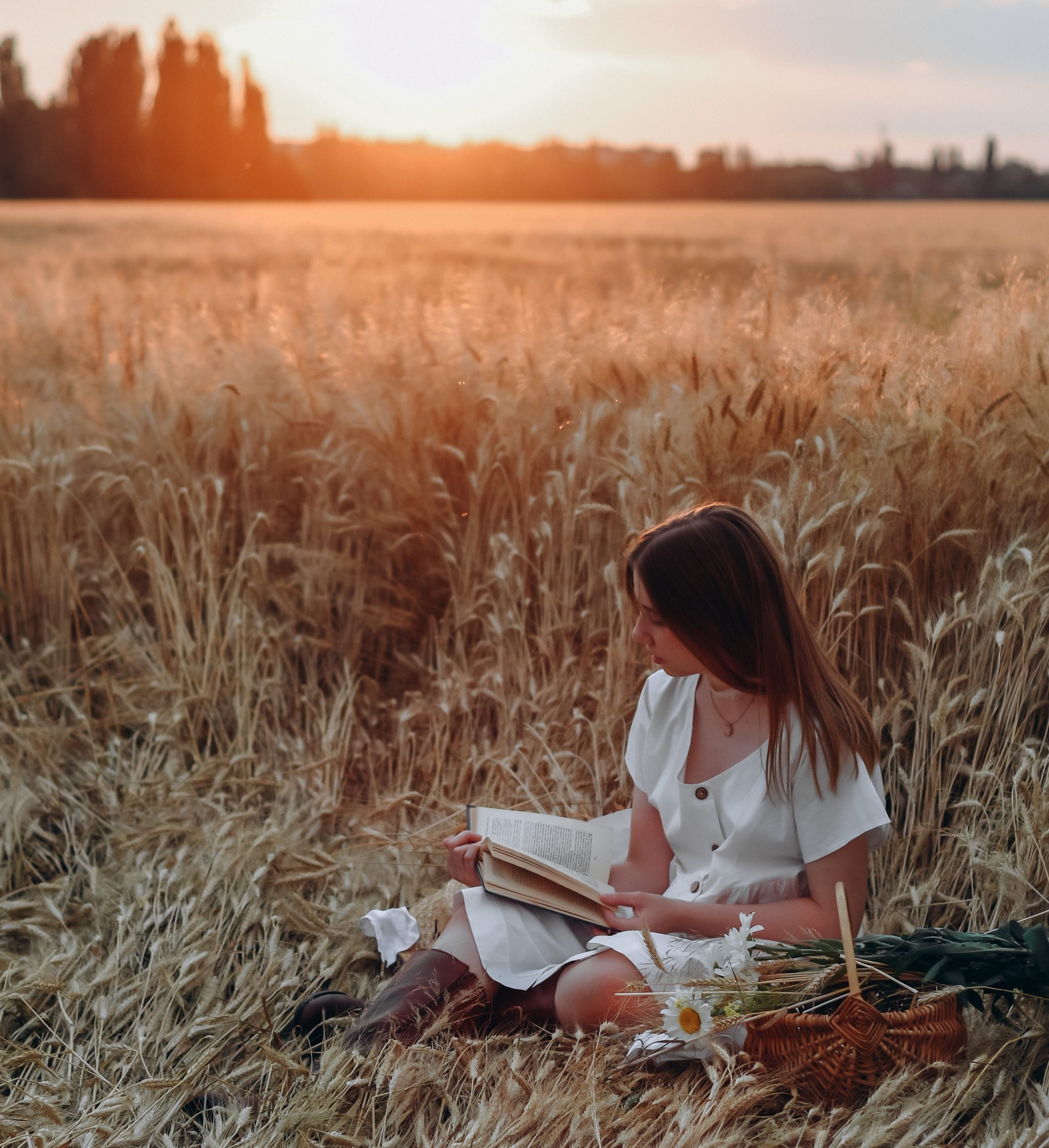 woman reading at sunset in wheat field virgo