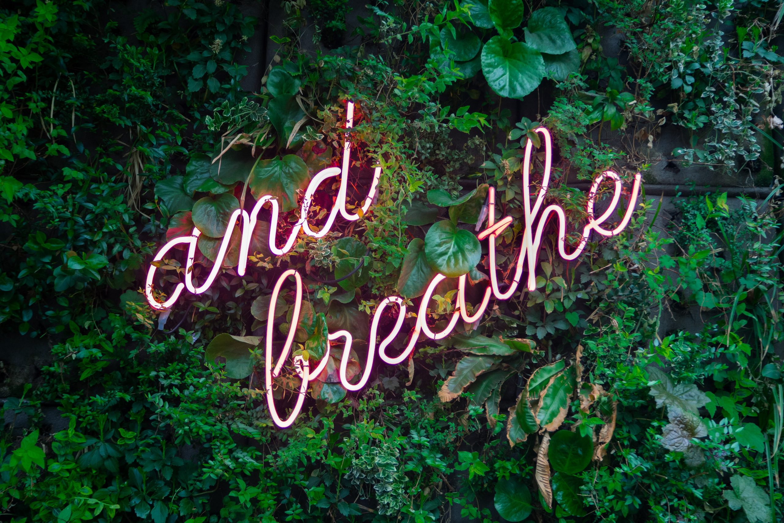 pink neon sign breath with leaves