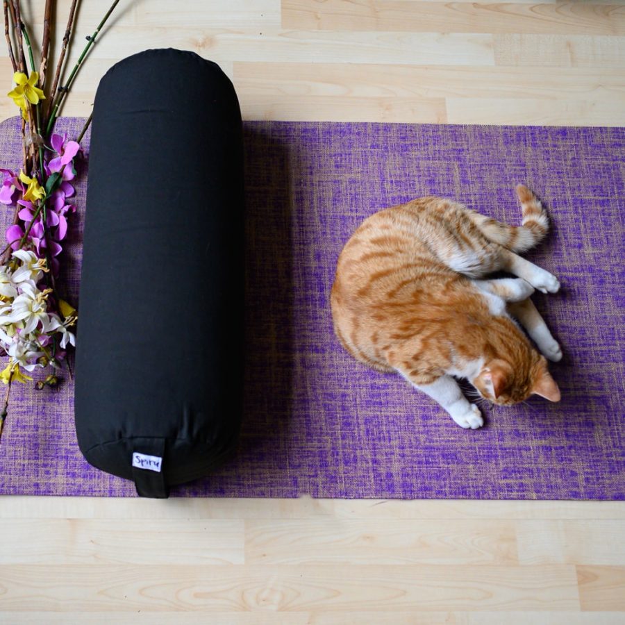 black spiru yoga boldster round, purple yoga mat, and cat
