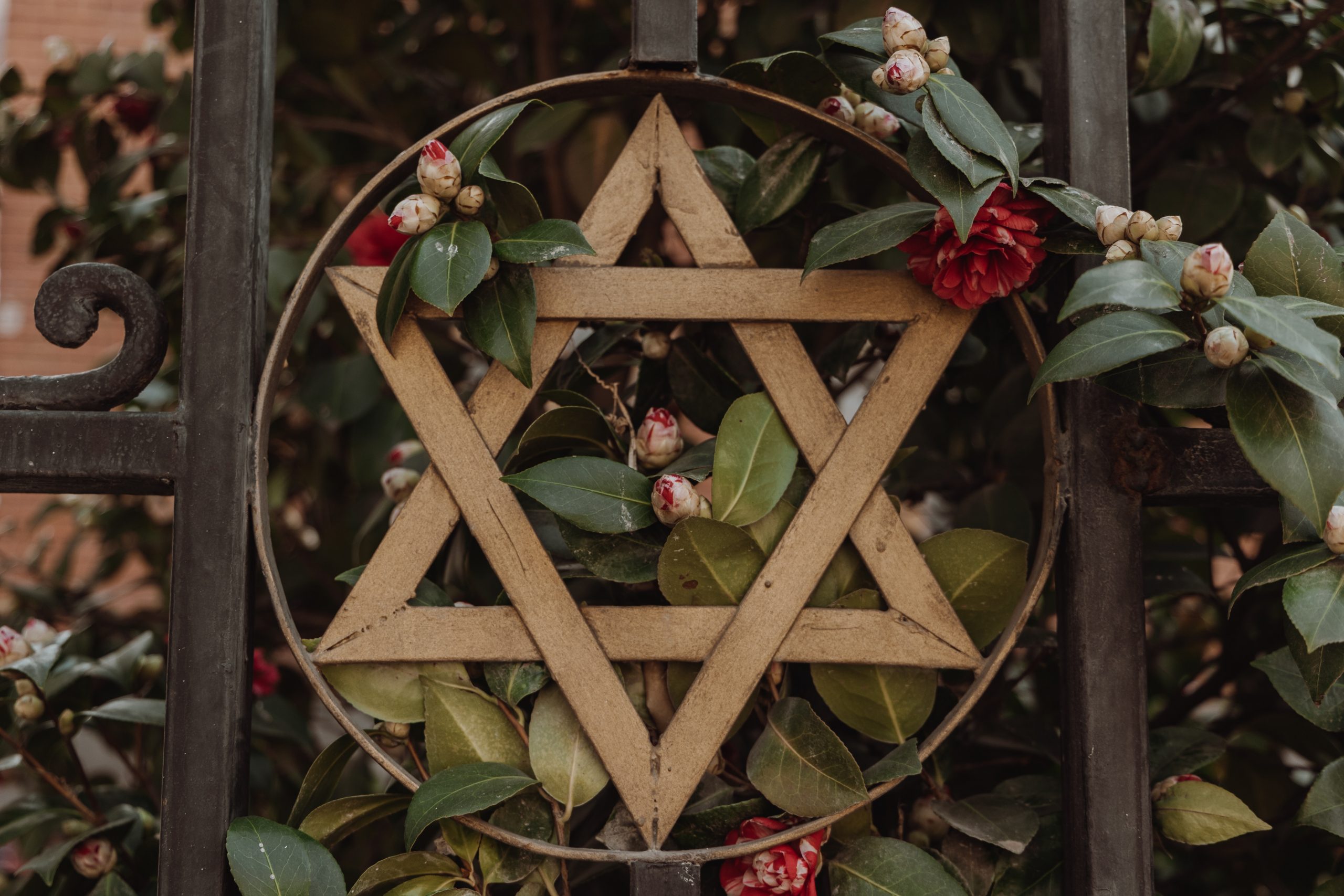 star of david hexagram seal of solomon with plants wooden