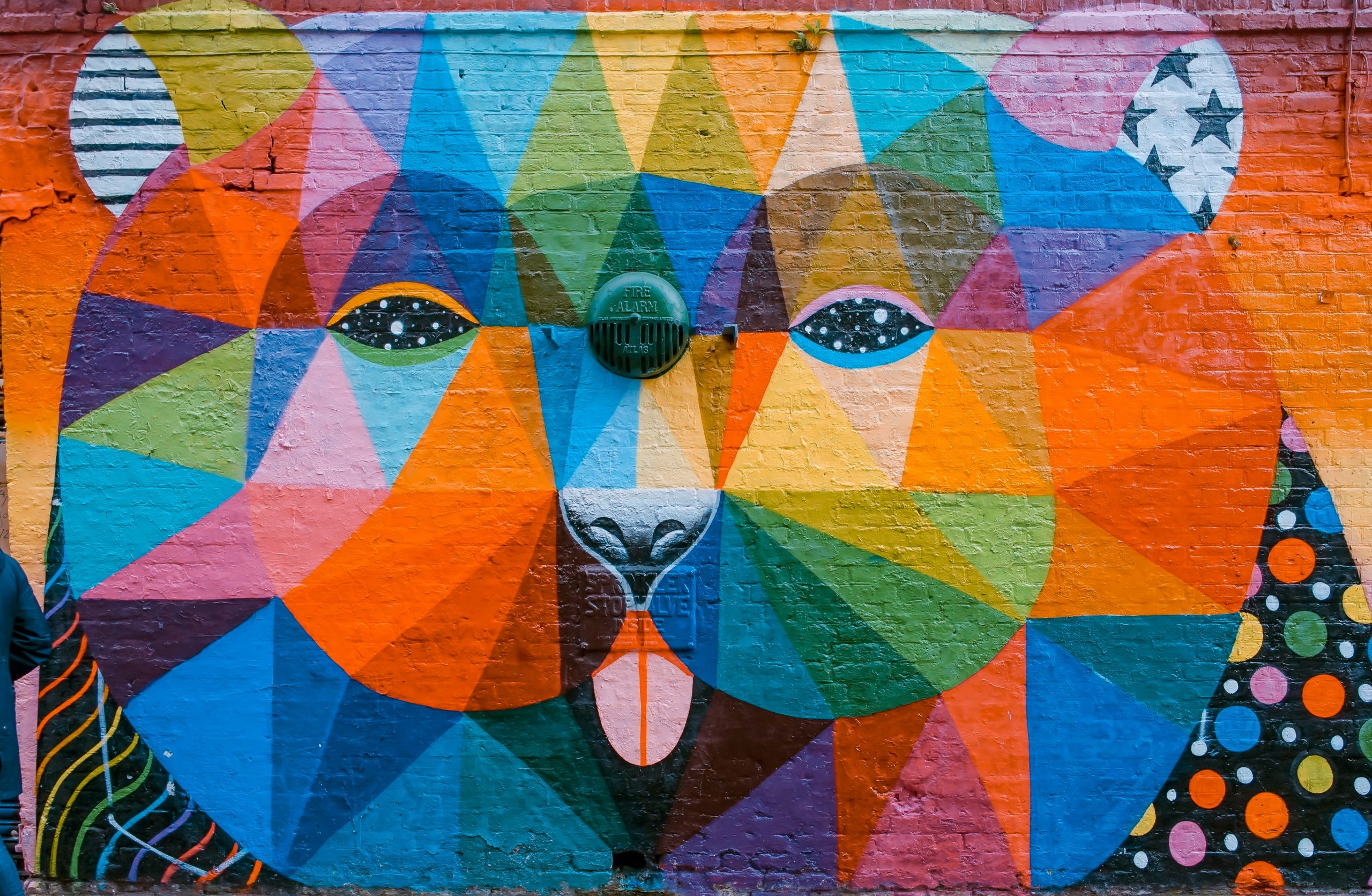 colorful bear mural auras universe