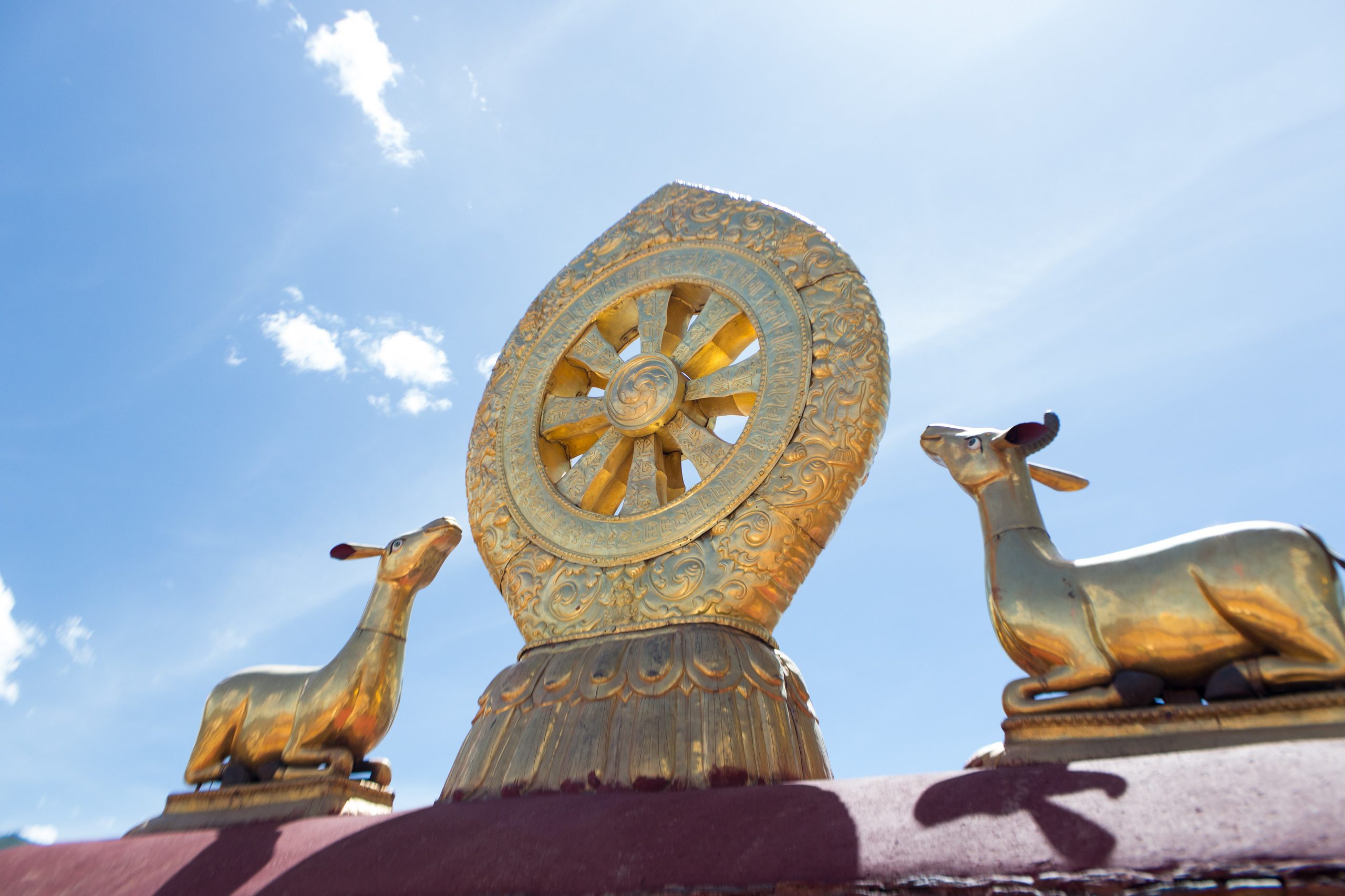deer and dharma wheel Buddhist temple gold
