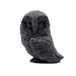 Shungite Statue Owl - Pressed