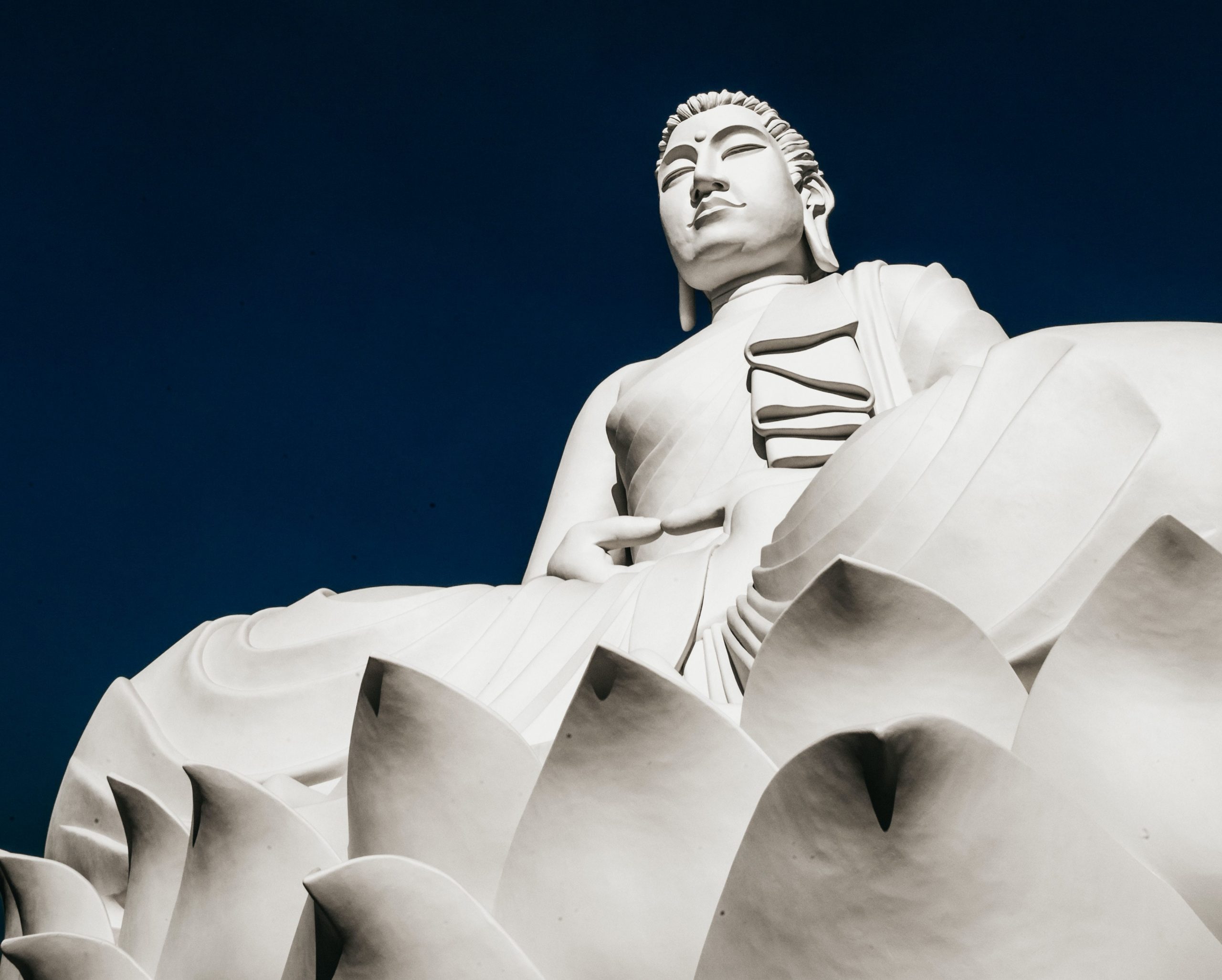 buddha on lotus flower meditating