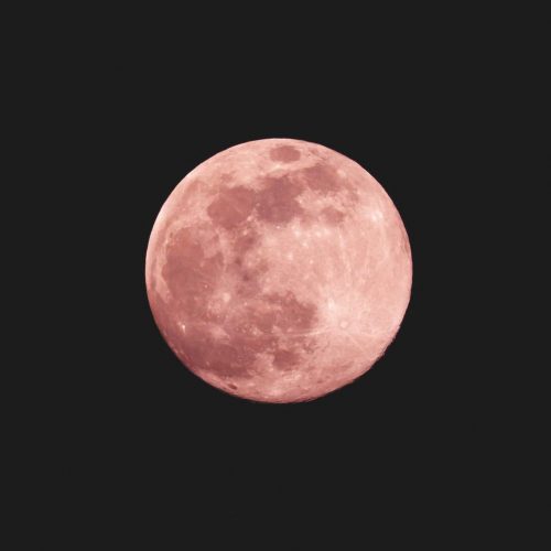 Pink Moon – Letting Go in Spring