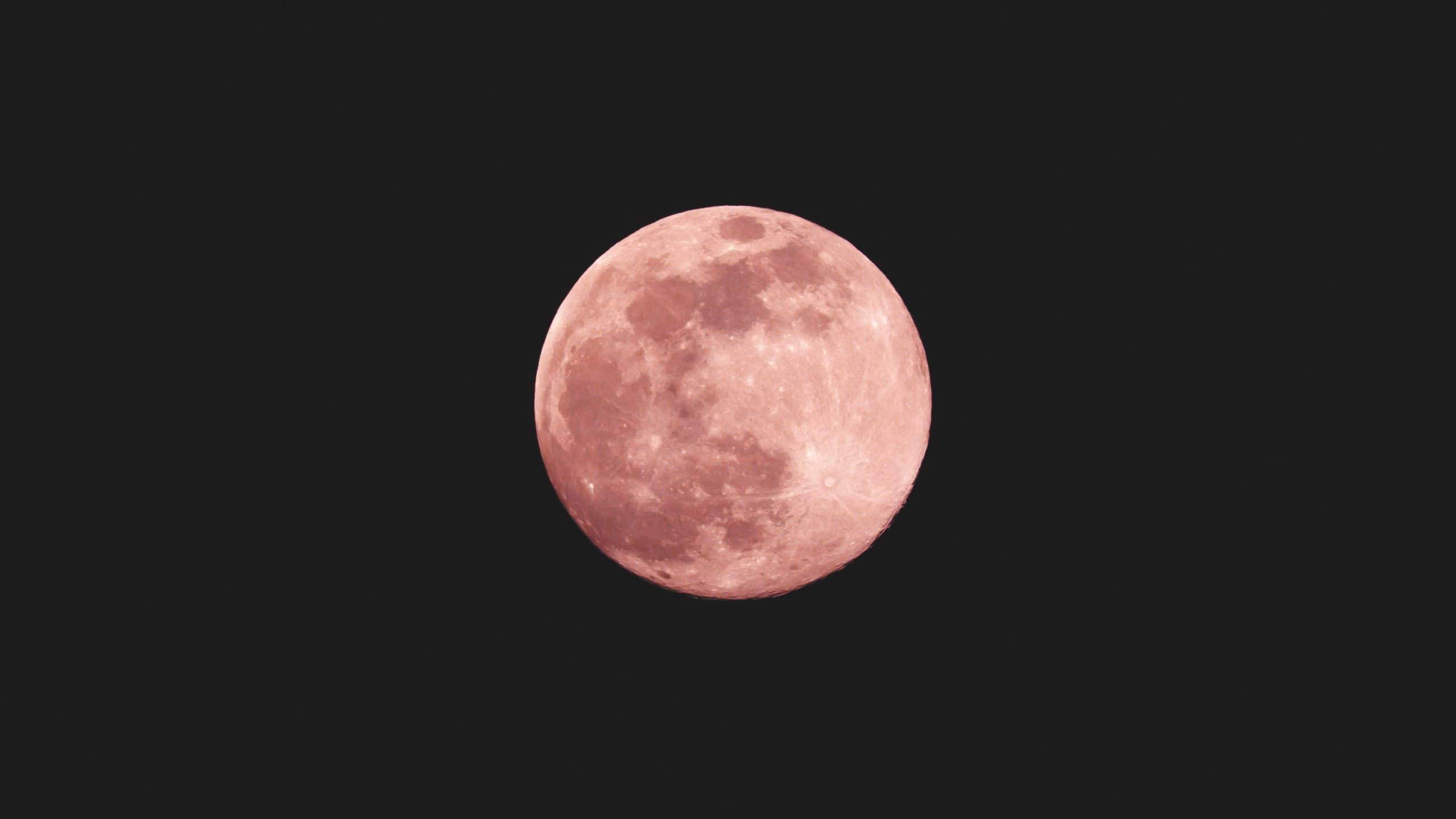 pink moon full moon black night sky