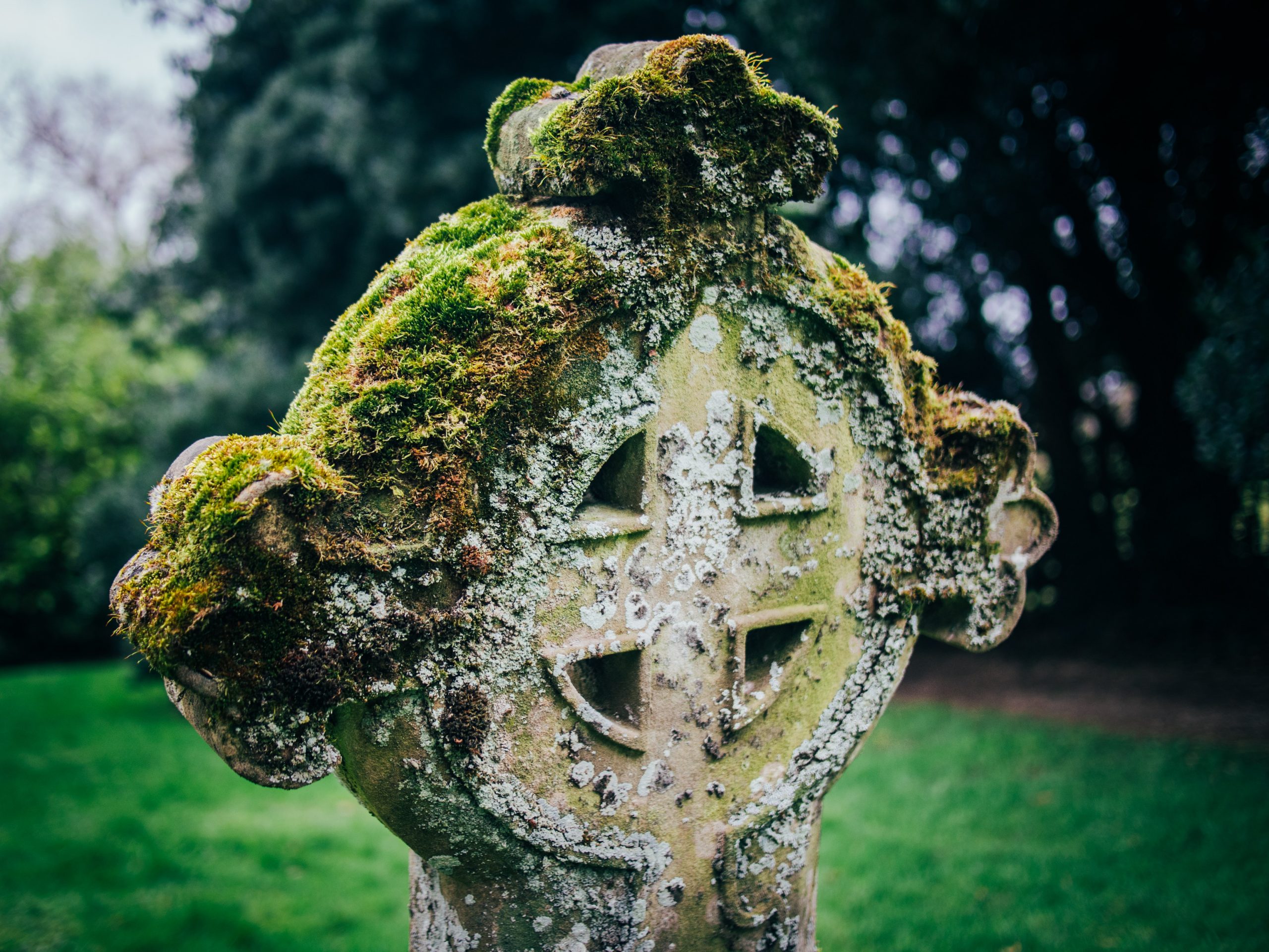 celtic cross covered in moss