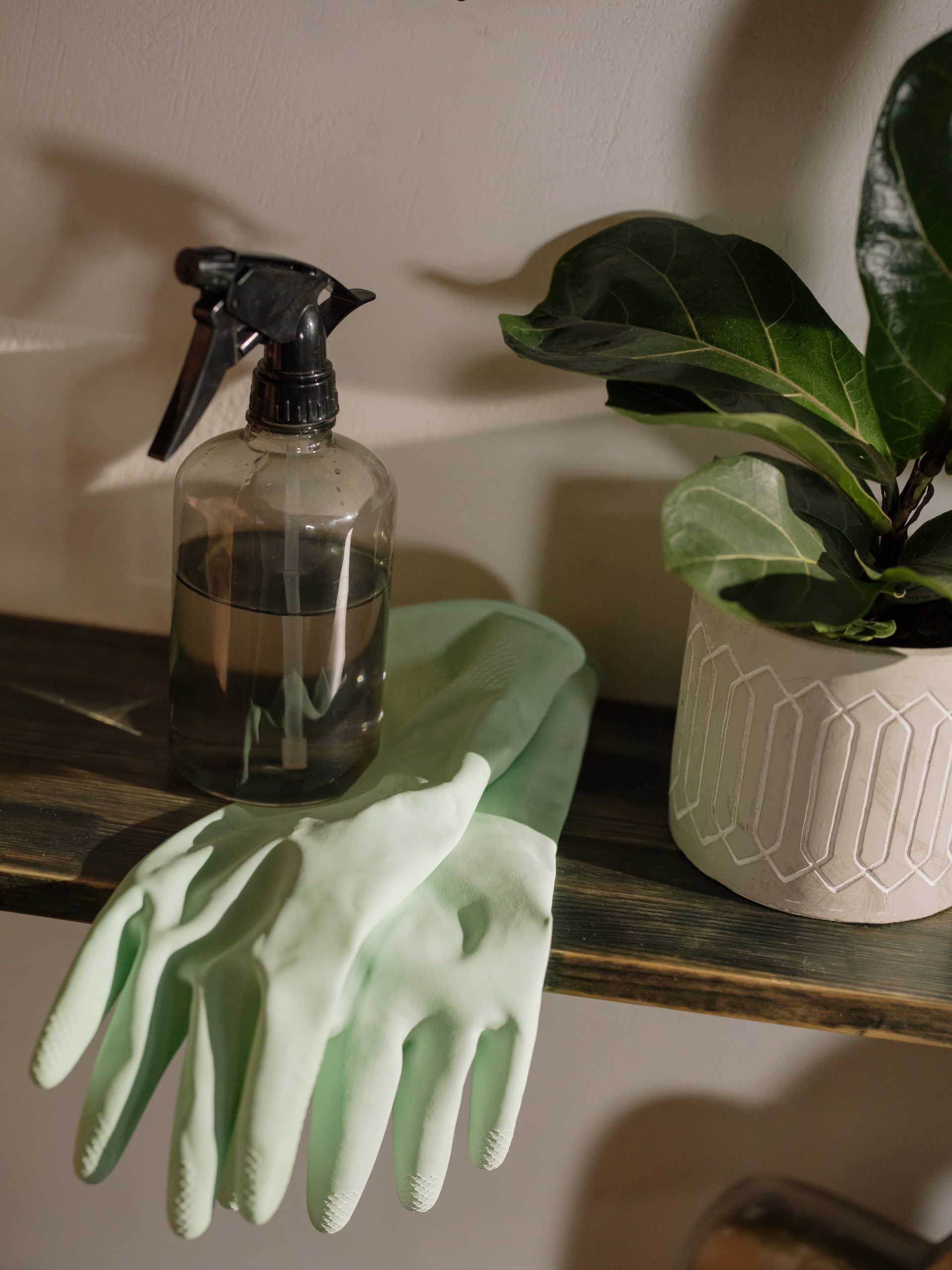 spring cleaning rubber gloves rubber plant spray bottle