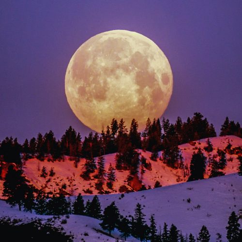 Snow Moon:  Feel the Fertile Vibes of Winter